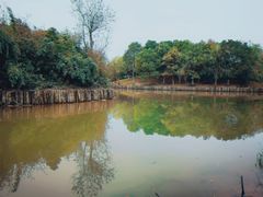 -八大山人梅湖景区
