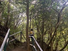 -宁波五龙潭景区