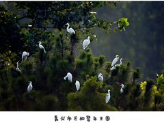-象山森林公园