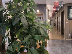 -艾柏堂8090推拿艾灸养生(御庭府邸店)