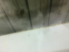 -阊门姚记豆浆(旧学前直营店)
