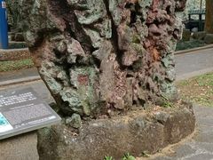 -海口火山口国家地质公园