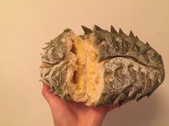 -Mnemosyne尼莫西妮(香港城店)