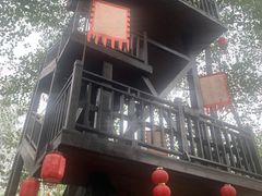 -合肥滨湖国家森林公园