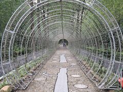 景点-合肥滨湖国家森林公园