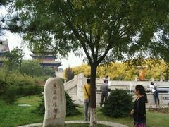 -大槐树寻根祭祖园