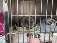 -艾贝尔宠物医院 ·中兽医·宠保定点(北门桥店)