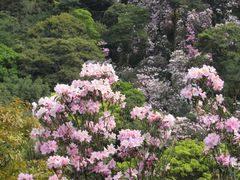 -梧桐山风景名胜区