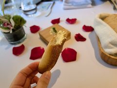 -蝶舍·MAISON PAPILLON