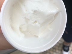 -洪馨椰子