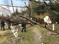 -大宁灵石公园西门票处