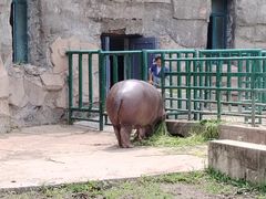 -哈尔滨北方森林动物园