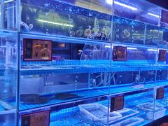 水产区-泰谷酒店·太古码头闽菜自助餐厅