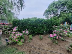 -洛阳市隋唐城遗址植物园
