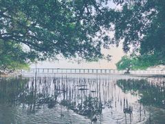 -宝安西湾红树林湿地公园