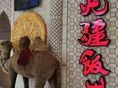 -北疆饭店(金狮广场店)
