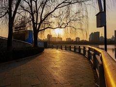-莲花池公园