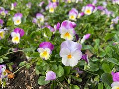 -狼山风景名胜区