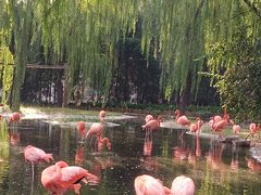 -石家庄市动物园