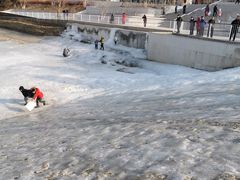 -永定河休闲森林公园