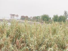 -郑东新区龙湖公共艺术中心