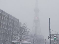 -大通公园