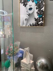 -MC皮肤管理中心