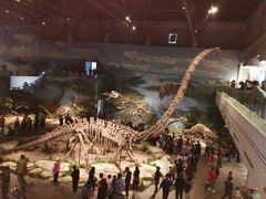 -自贡恐龙博物馆