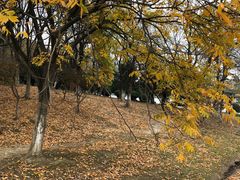 -白塘生态植物园