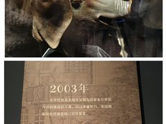 -闵行博物馆