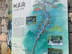 -九寨沟-树正沟