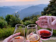 -黄埔油麻山森林公园