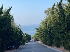 -养马岛旅游度假区