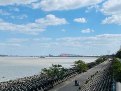 -上海滨江森林公园