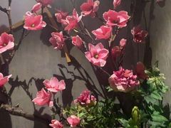 -新盈光·旗舰店(海曙苍松路店)