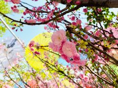 -汕尾铜鼎山旅游区