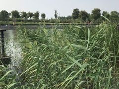 -郑东新区龙湖公共艺术中心