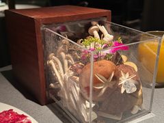 -左庭右院鲜牛肉火锅黑金店(陆家嘴中心店)