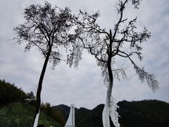 -杭州生仙里国际滑雪场