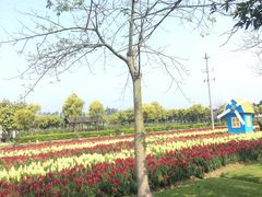 -广东花都香草世界旅游度假区