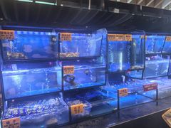 -蚝大仙横琴生蚝火锅(中央汇店)