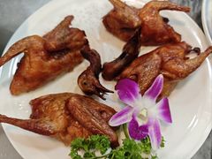 -鸽鸟轩(石岐店)