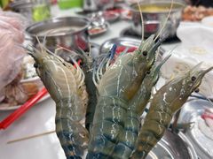 -朱富贵火锅(金融街万达店)
