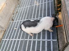 -北京鹿世界主题园