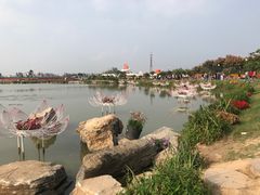-荷兰花海