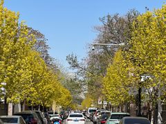 -天津五大道文化旅游区