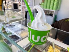 -Salud撒露欧洲冻酸奶(蓝色港湾店)