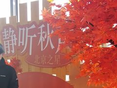 -北京之星奔驰4S店(亦庄店)