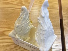 -野人先生Gelato(上海长宁龙之梦店)