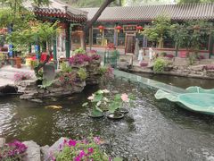 -白家大院·王府宫廷菜(苏州街店)